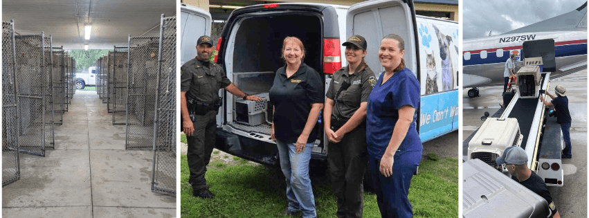 Animals from Highlands County safe ahead of Hurricane Milton