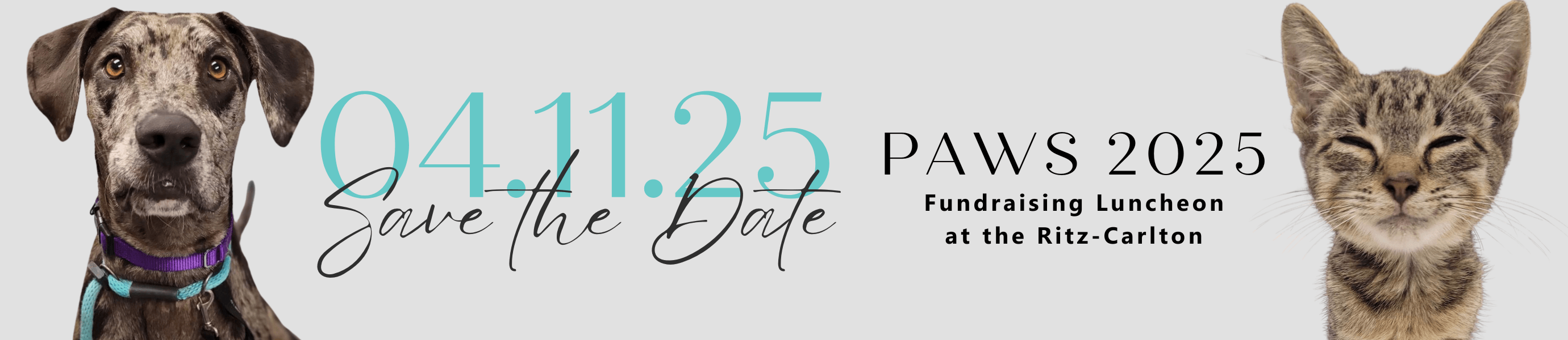Paws 2025