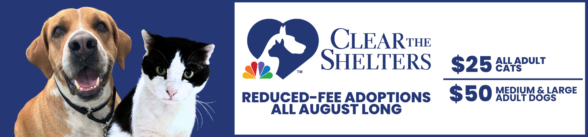 CTS Reduced-Fee Adoptions All August Long, $25 All Adult Cats, $50 Medium and Large Adult Dogs