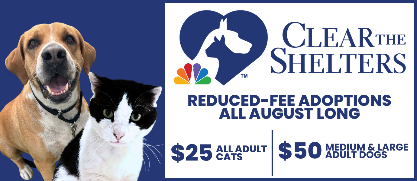 CTS Reduced-Fee Adoptions All August Long, $25 All Adult Cats, $50 Medium and Large Adult Dogs