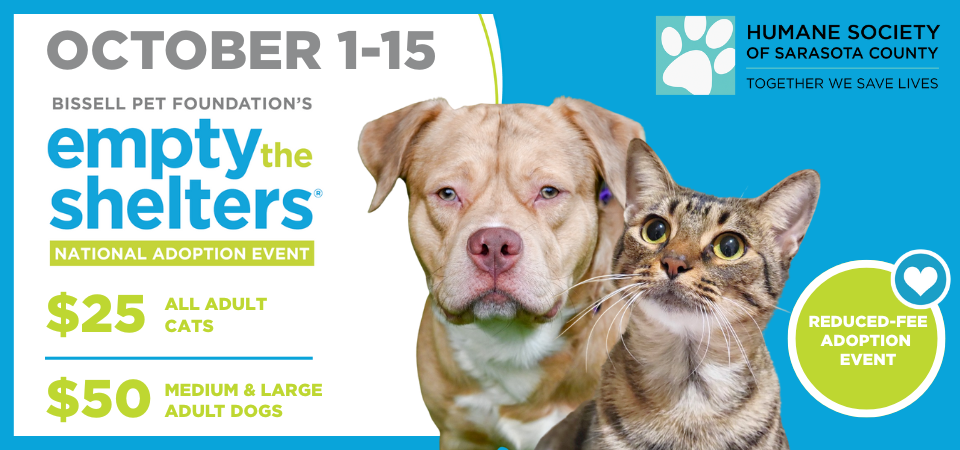 Reduced-Fee Adoptions | October 1-15 | $25, All Adult Cats | $50 Medium and Large Adult Dogs