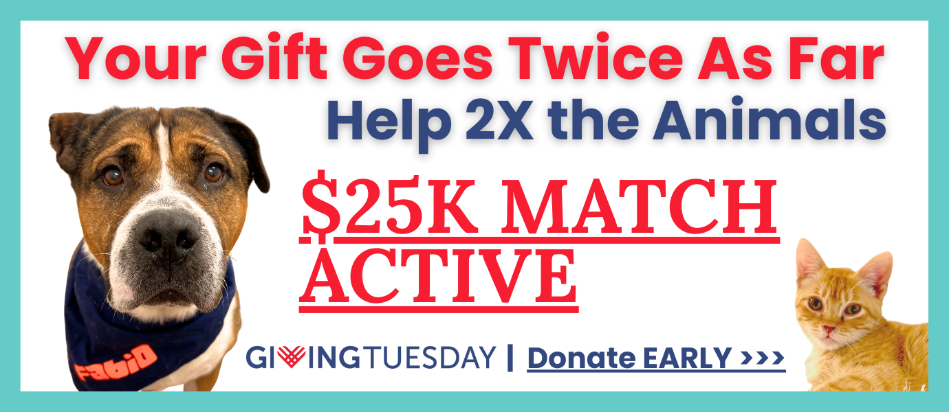$25K MATCH ACTIVE, DONATE NOW