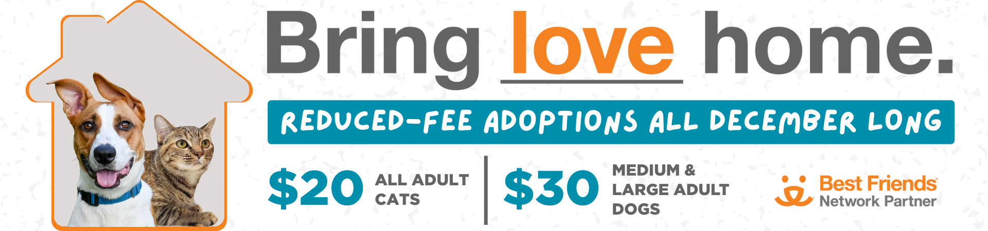 Bring Love Home, Reduced-Fee Adoptions All December Long