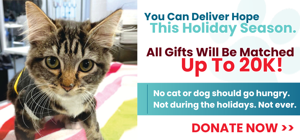 Holiday Match, Donations Doubled Up To $20K