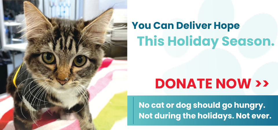 Deliver hope this holiday season. Donate now.