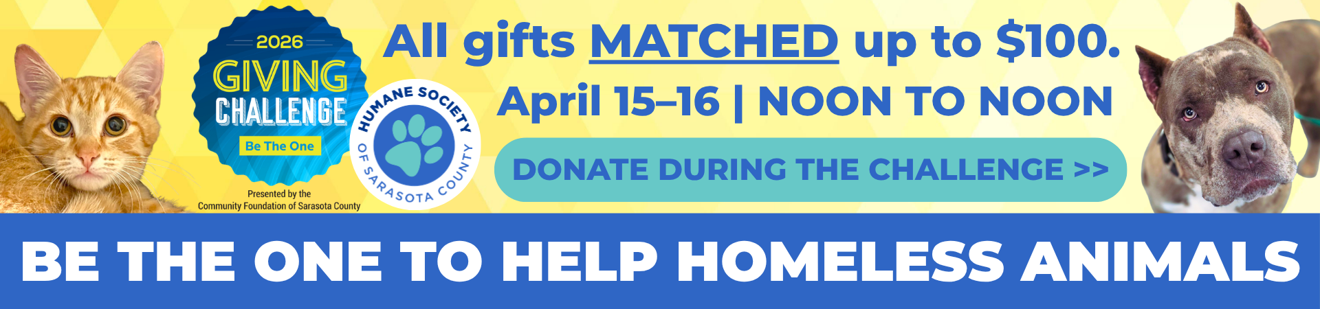 BE THE ONE TO HELP HOMELESS ANIMALS