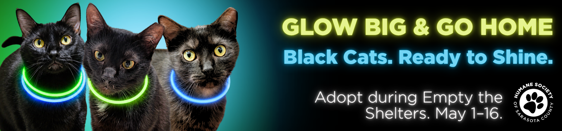 Glow Big & Go Home | Empty the Shelters, May 1-16