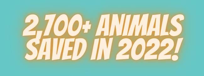 HSSC Saves 2,700 Animals