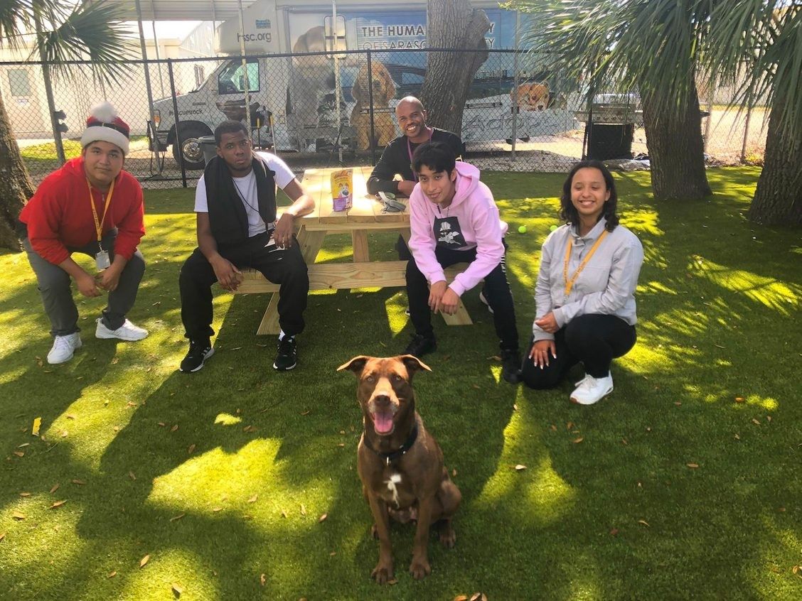 Our Turf Brings All the Dogs to the Yard