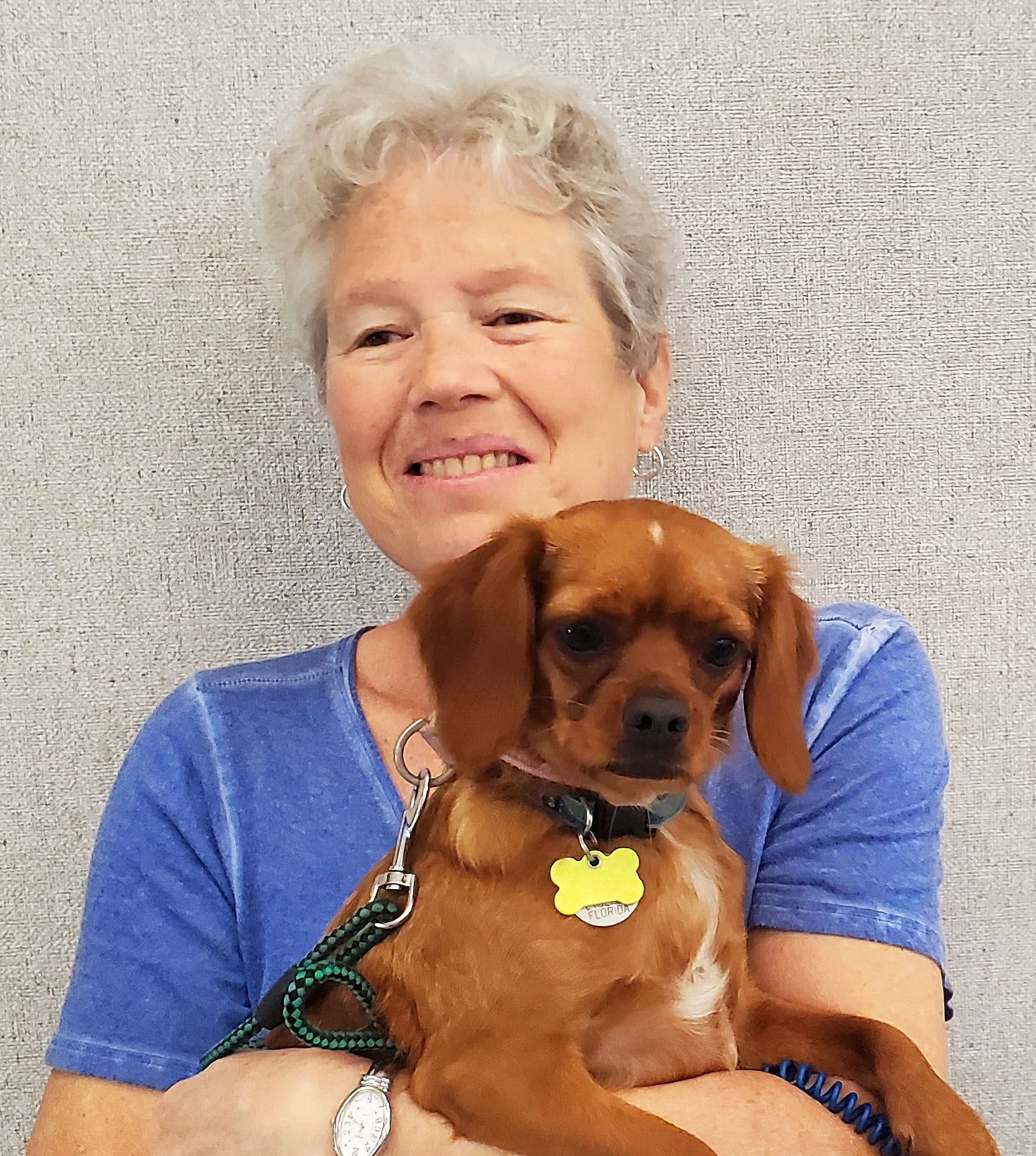 Mission Moment Lily, from Hoarding Case to Pet Therapy Blog