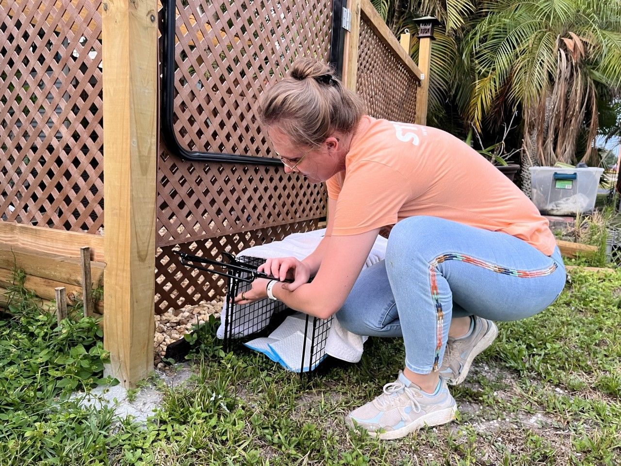 HSSC Helps Community Cats