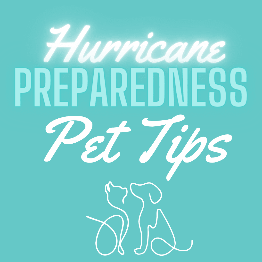 Tropical Storm Information