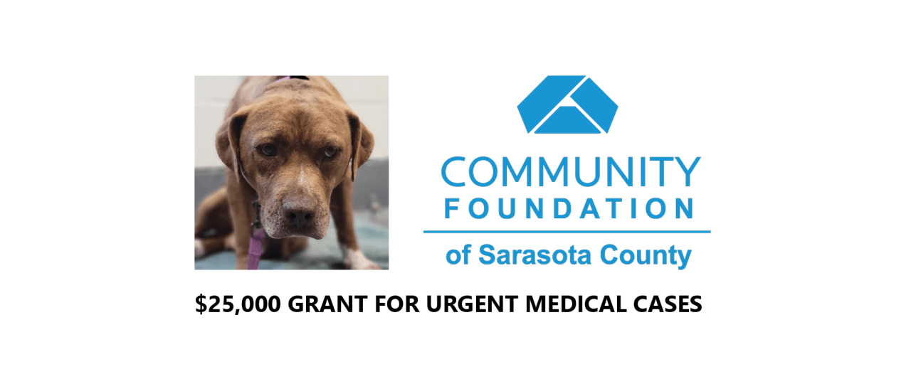 HSSC Receives $25,000 Grant for Emergency Medical Care