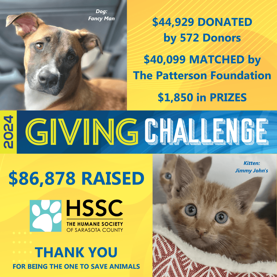 2024 Giving Challenge Results Blog
