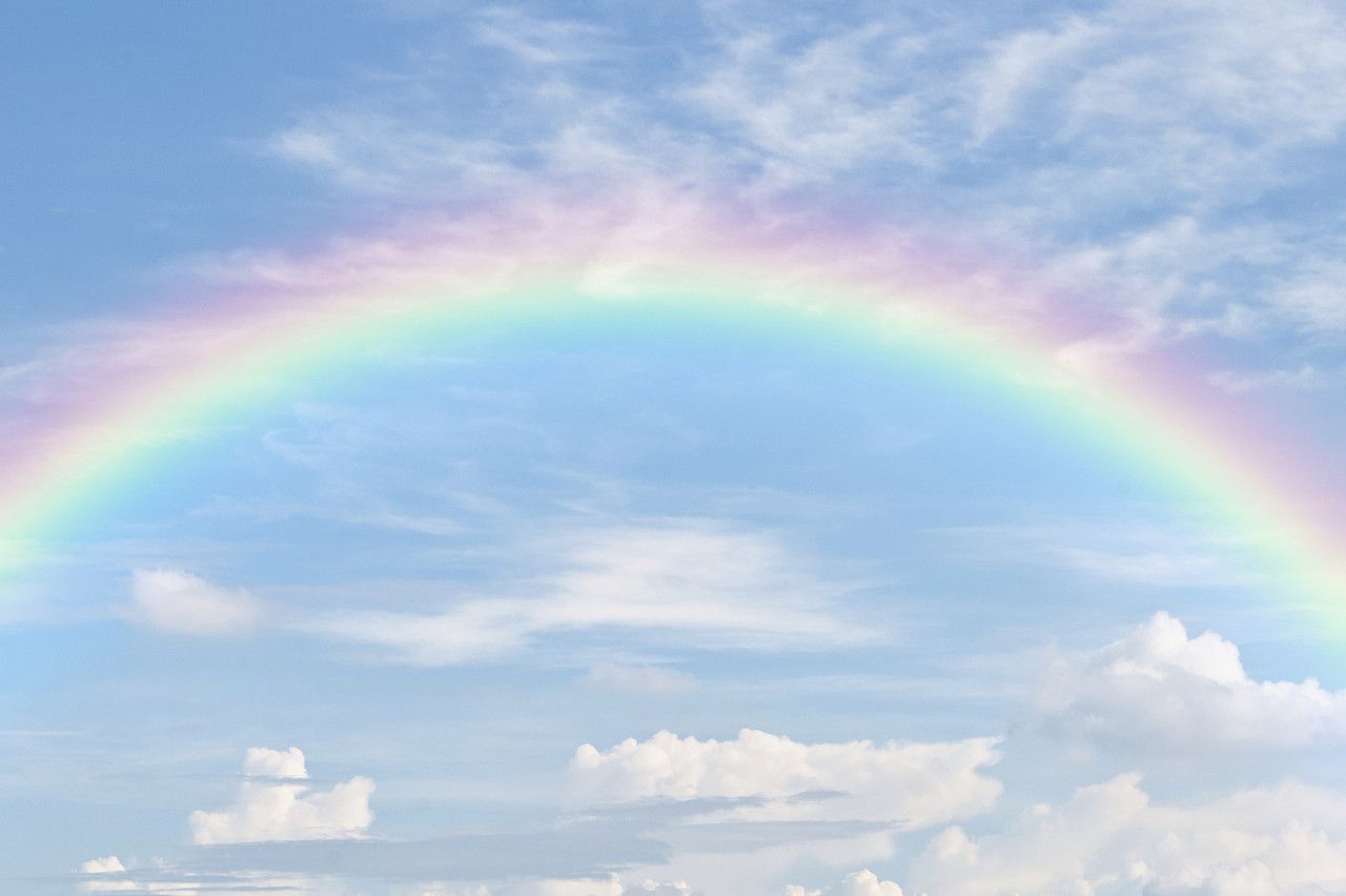 RAINBOW BRIDGE REMEMBRANCE DAY – August 28 - Blog RAINBOW BRIDGE REMEMBRANCE DAY – August 28 - Blog