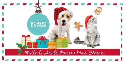 Letters-to-Santa-Paws-Blog