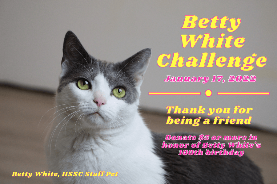 Betty White Challenge Blog