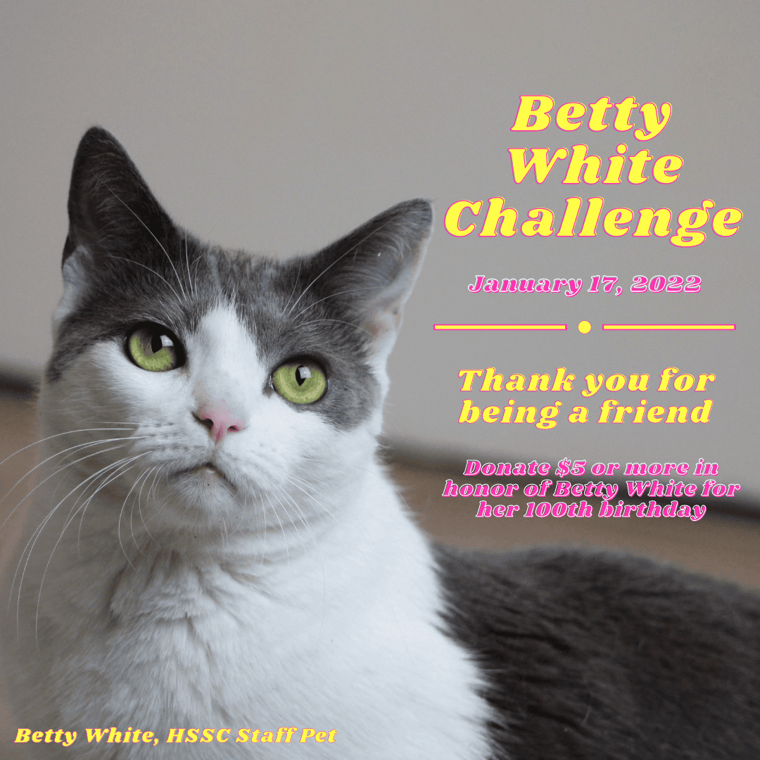 Betty White Challenge Blog